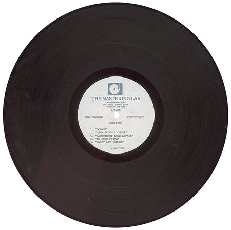 Lot #837 Survivor: Vital Signs and When Seconds Count - Image 4
