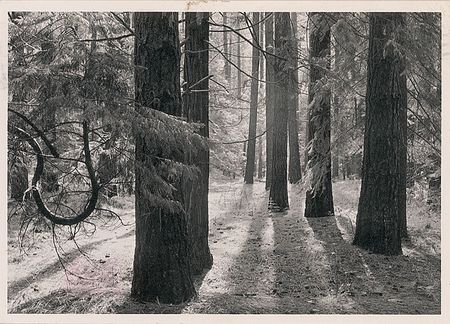 Lot #597 Ansel Adams - Image 2