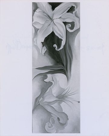 Lot #634 Georgia O’Keeffe Signed Photograph - Image 1