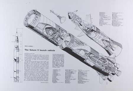 Lot #217 Apollo - Image 1