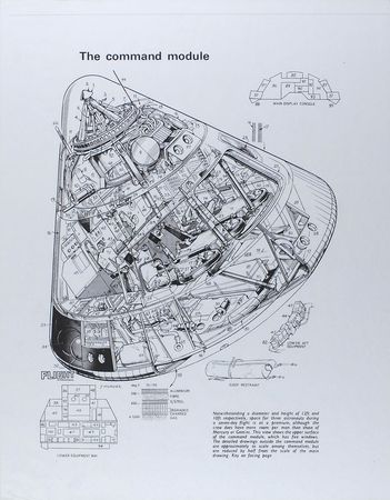 Lot #217 Apollo - Image 2