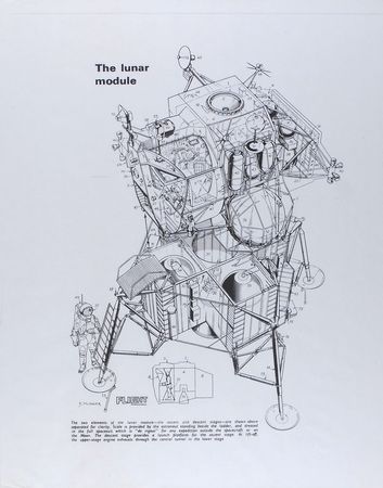 Lot #217 Apollo - Image 3