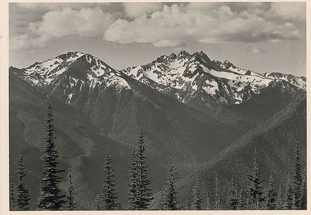 Lot #446 Ansel Adams Book and Postcard - Image 4