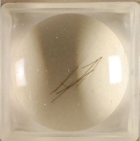 Lot #30 Abraham and Mary Todd Lincoln Hair Display - Image 2