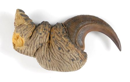 Lot #388 Jurassic Park - Image 2