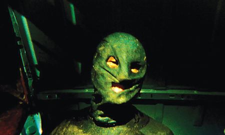 Lot #415 The Collector - Image 3