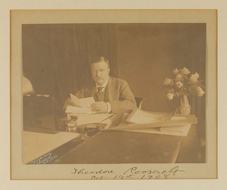Lot #64 Theodore Roosevelt: Magnificent Clinedinst portrait signed as president - Image 2