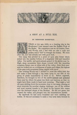 Lot #62 Theodore Roosevelt Article - Image 2
