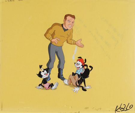 Lot #434 Yakko, Wakko, Dot, and Captain Kirk from Animaniacs - Image 1