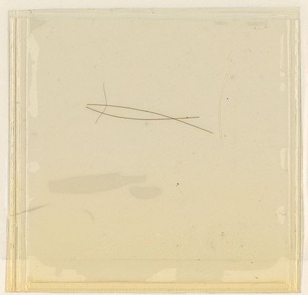 Lot #120 John Adams Hair - Image 2