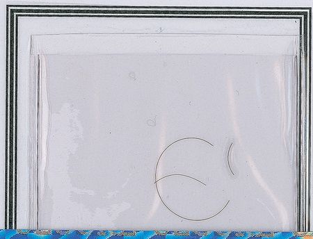 Lot #124 Abraham Lincoln: The most well-documented Lincoln hair sample extant - Image 2