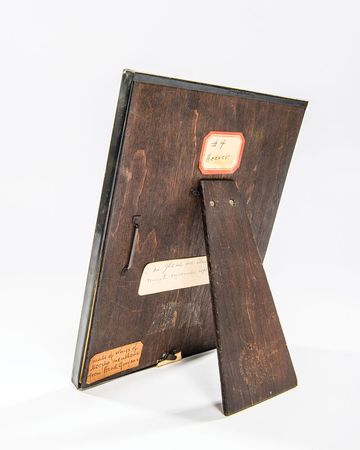 Lot #65 Herbert Hoover’s Butterfly Wing Artwork - Image 3