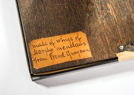 Lot #65 Herbert Hoover’s Butterfly Wing Artwork - Image 4