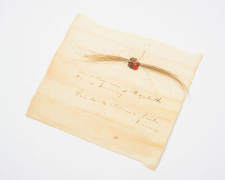 Lot #1 John Adams’s Lock of Hair - Image 5