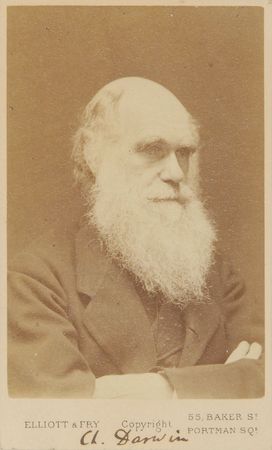 Lot #128 Charles Darwin - Image 2