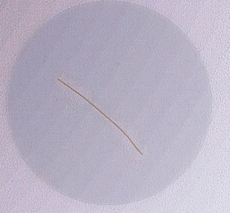 Lot #110 George Washington Hair - Image 2