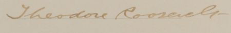 Lot #65 Theodore Roosevelt Signed Document - Image 3