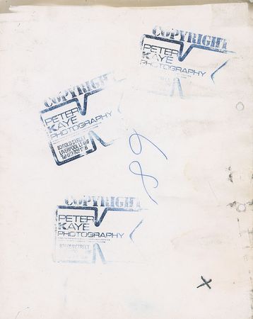 Lot #88 Beatles: Peter Kaye - Image 2