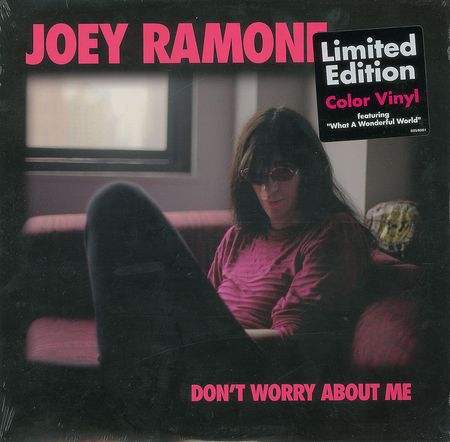 Lot #447 Joey Ramone?s Red Aztec Print Cushion Couch - Image 4