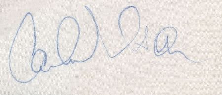 Lot #288 Beach Boys - Image 3