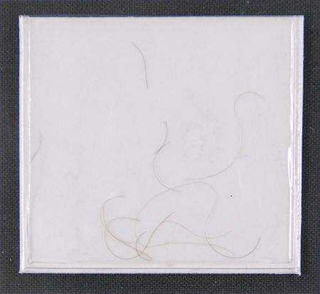 Lot #857 Babe Ruth: The Sultan of Swat’s hair and autograph - Image 3