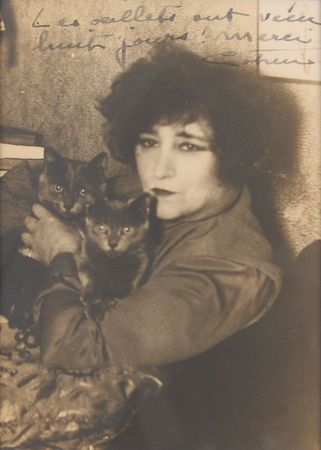Lot #635 Colette: The Gigi author with her pet cats?the subject of an early novel - Image 2