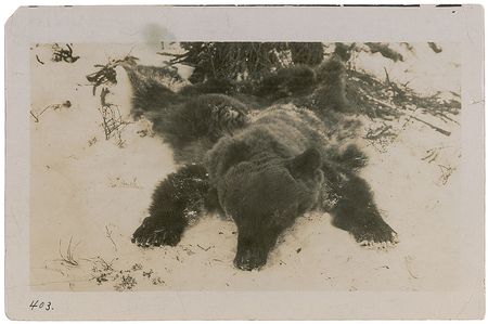 Lot #253 Vilhjalmur Stefansson Archive - Image 8