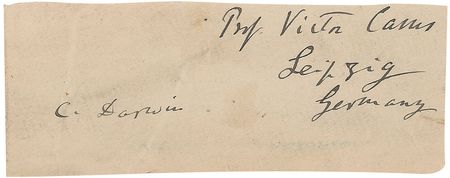 Lot #141 Charles Darwin: The celebrated evolutionist and his German translator - Image 1