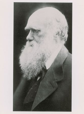 Lot #141 Charles Darwin: The celebrated evolutionist and his German translator - Image 2
