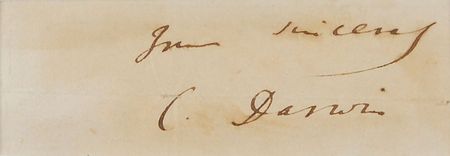 Lot #2087 Charles Darwin Signature - Image 2