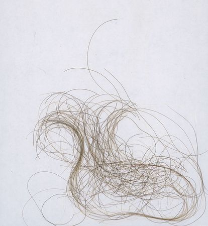 Lot #716 Ludwig van Beethoven: A lock of the master’s wily hair, famously clipped while he lay on his deathbed - Image 1