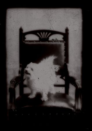 Lot #3018 Harry Houdini Original Glass Negatives  - Image 2