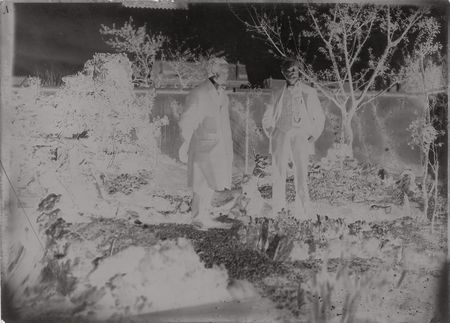 Lot #3018 Harry Houdini Original Glass Negatives  - Image 8