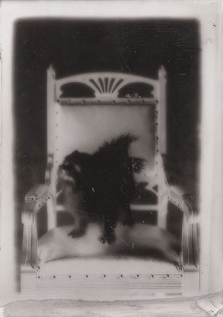 Lot #3018 Harry Houdini Original Glass Negatives  - Image 13