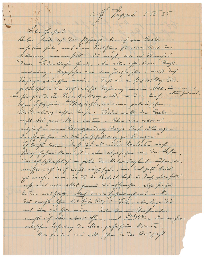 洋書 Edmund Husserl Gesammelte Schriften Schriften zur Phänomenologie Edmund Husserls – Transnational