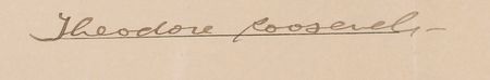 Lot #27 Theodore Roosevelt Signed Document - Image 2