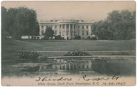 Lot #22 Theodore Roosevelt Postcard