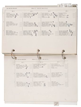 Lot #129 Jim McDivitt?s Apollo 9 Flown Crew Log Book - Image 12