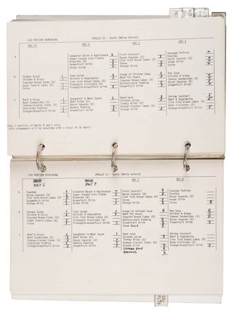 Lot #129 Jim McDivitt?s Apollo 9 Flown Crew Log Book - Image 13