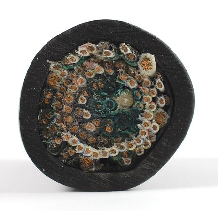 Lot #45 Mercury 4 Umbilical Cable - Image 2