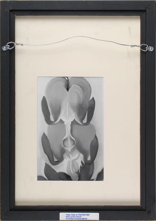 Lot #559 Georgia O?Keeffe Signed Photograph - Image 3