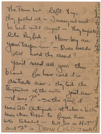 Lot #645 Ernest Hemingway: ?The Tuna have left Vigo,? as ?Pappa? boats along the Spanish coast: ?They migrate like Kingfish?How big are your Tarpan now?? - Image 4