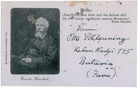 Lot #316 Ernst Haeckel Signed Photograph and Book Cover - Image 2