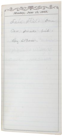 Lot #161 Old West: Terrence Cantwell Diary - Image 6