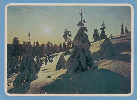 Lot #7266 Van Morrison Signed Christmas Card - Image 2