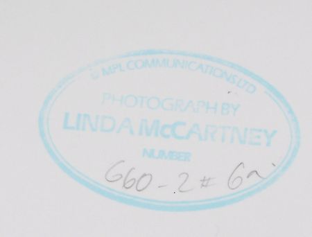 Lot #7277 The Who Photographs: Linda McCartney - Image 2