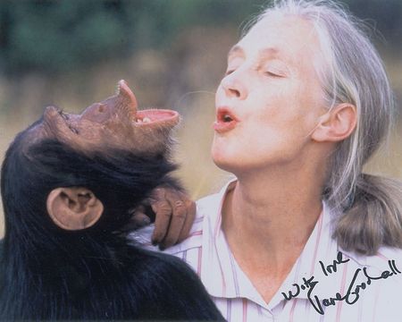 Lot #389 Jane Goodall Signed Photograph - Image 1