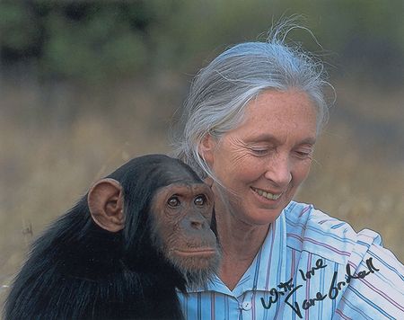 Lot #389 Jane Goodall Signed Photograph - Image 2
