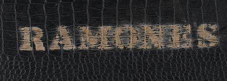 Lot #8113 Johnny Ramone?s Stage-used Rickenbacker Guitar - Image 11