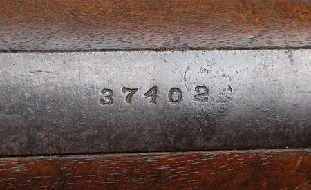 Lot #8032 Union Sharpshooter’s Rifle - Image 8